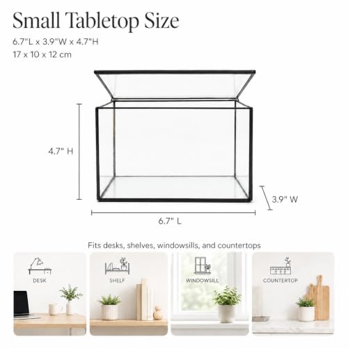 Small Glass Terrarium with Lid, Rectangle Geometric Planter Box, Clear Glass Container for Succulents, Moss, Air Plants, Ferns, Cactus, Tabletop Plant Display Decor, 6.7 x 3.9 x 4.7 in - size: Small Rectangle