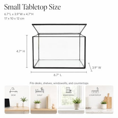 Small Glass Terrarium with Lid, Rectangle Geometric Planter Box, Clear Glass Container for Succulents, Moss, Air Plants, Ferns, Cactus, Tabletop Plant Display Decor, 6.7 x 3.9 x 4.7 in - size: Small Rectangle