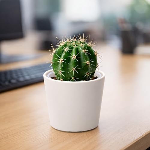 Phoenix Vine 3.5 Inch Oatmeal Plastic Cachepot with Clear Nursery Pot, Decorative Lightweight Planter Cover with Transparent Inner Pot for Indoor Houseplants, Pack of 1, 24-A-G-1 - color: Oatmeal, size: 3.5" (1 Pack)
