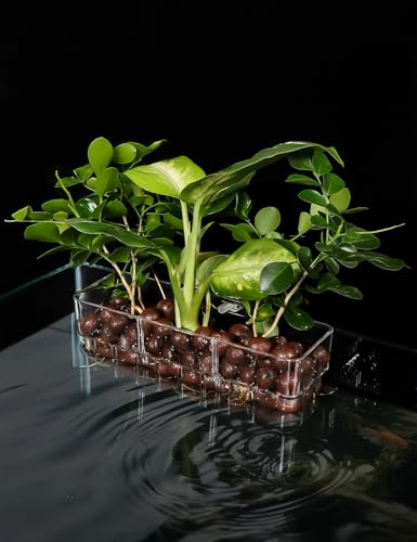 1 Pack Clear Aquarium Plant Holder Top Hanging Fish Tank Plant Holders Fits up to 0.8in Tank Edges, Aquarium Décor - color: Rectangle-White