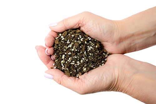 Premium African Violets and Gesneriad Premium Soil Mix by Gardenera - Horticultural Perlite (25%) + Vermiculite (25%) + Sphagnum Peat Moss (50%) - Made in USA - (1 Quart Bag) - color: AFRICAN VIOLETS SOIL, size: 1 Quart