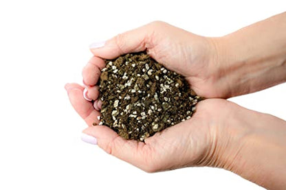 Premium African Violets and Gesneriad Premium Soil Mix by Gardenera - Horticultural Perlite (25%) + Vermiculite (25%) + Sphagnum Peat Moss (50%) - Made in USA - (1 Quart Bag) - color: AFRICAN VIOLETS SOIL, size: 1 Quart