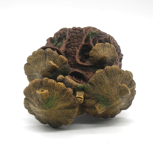 relaqcc Fish Tank Decorations Hideaway Cave, Fish Tank House Accessories for Amphibians, Goldfish, Shrimp, Conch