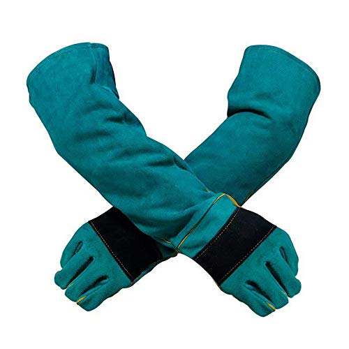 YBB Animal Handling Anti-bite/Scratch Gloves for Dog Cat Bird Parrot Pet (Green) - color: Dark Green