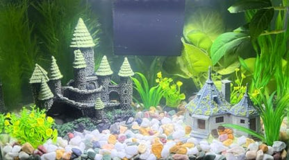 Small Aquarium Gravel for Fish Tank, Natural River Rock Pebbles for Plants Indoor, Pea Gravel for Landscaping, Aquarium Substrate (3 LBS, 0.4" to 0.8")