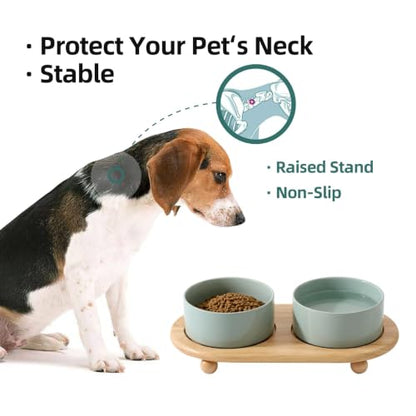 Havniva Raised Cat Bowl, 6.1” Elevated Ceramic Cat Food and Water Bowl Set | Cat Bowls Elevated, Whisker Friendly Cat Bowl, Non-Slip Wood Stand, Food-Grade Ceramic, Wide Opening, Dishwasher Safe - color: Light Green, size: 2 Bowls+Tray - 6.1"