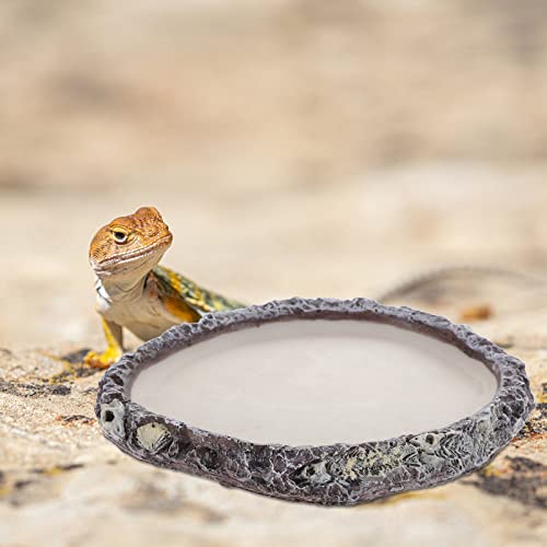 Abaodam Reptile Water Dish for Snakes and Lizards Multi-use Food Storage Basin Reptile Water Holder for Feeding and Hydration for Terrariums and Pet Enclosures