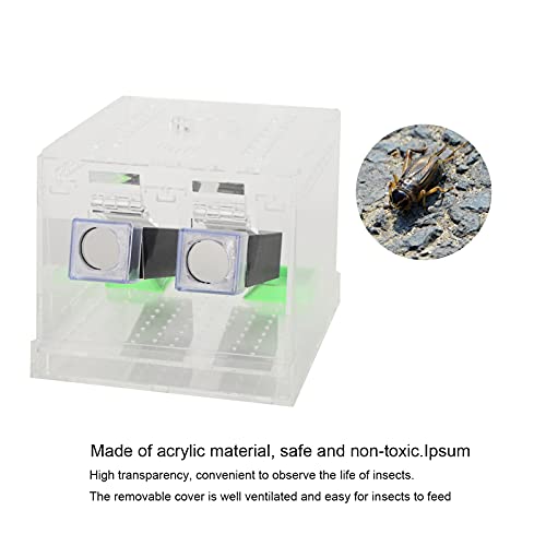 Cricket Keeper, Equipped with Water/Food Feeding Tub High Transparency Acrylic Material Cricket Keeper with Tubes Safe and Non- for Office for Home(L)