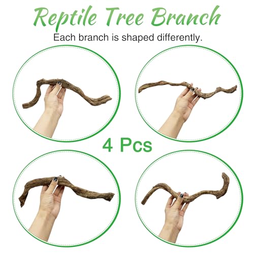 Reptile Branch Decor Snake Climbing Wood Branches Lizard Habitat Decorations Terrarium Wooden Tree Trunk Ornament for Bearded Dragon Snake Geckos Chameleon Frog 4 Pcs (14-16 inch) - size: 4 PCS-Diameter: 0.8-1.2 inches