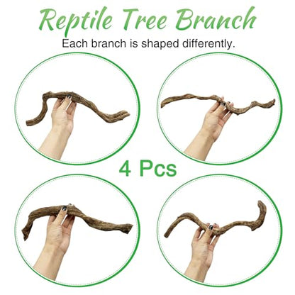 Reptile Branch Decor Snake Climbing Wood Branches Lizard Habitat Decorations Terrarium Wooden Tree Trunk Ornament for Bearded Dragon Snake Geckos Chameleon Frog 4 Pcs (14-16 inch) - size: 4 PCS-Diameter: 0.8-1.2 inches