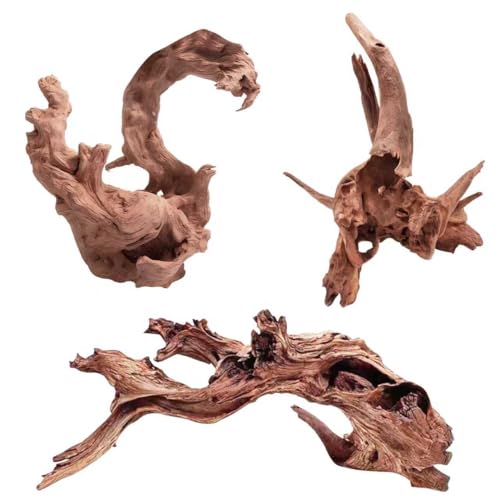 EFFIELER Natural Driftwood for Aquarium Decor – 6-10 INCH Unique Size Real Wood Branches for Fish Tank, Reptile Habitat, Terrarium, Hermit Crab, Shrimp Tank,Safe for Aquatic Pets - size: 6-10 INCH