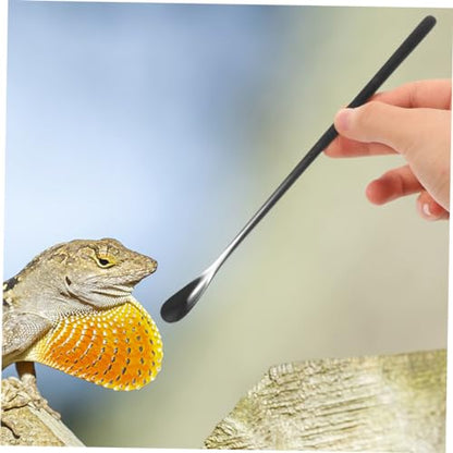 SUPVOX 3pcs Sturdy Stainless Steel Lizard Food Spoon Reptile Feeding Tool for Crested Gecko Food - color: Black