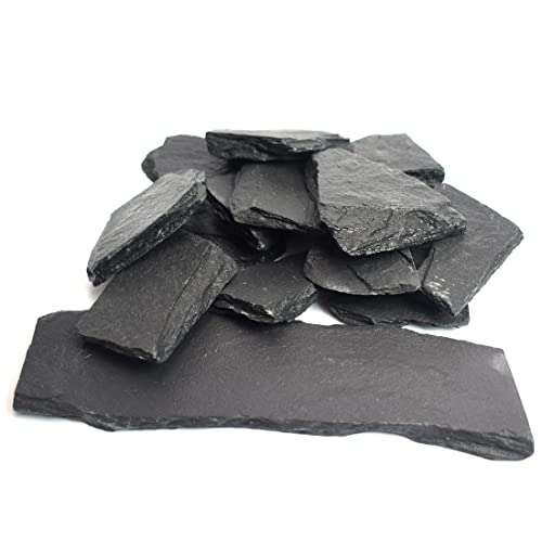 Natural Slate Stone Rocks, Mix of Stones 2 to 3 inches and 1 piece About 8 inches - for Aquariums and Terrariums, Aquascaping (3 Pounds)