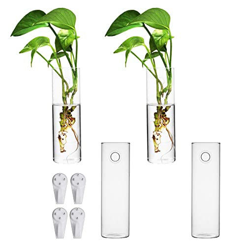 Terrarium Hanging Glass Wall Planters Air Plant Holders Round Glass Plant Pots Containers for Hydroponics Plants, Succulents, Herbs, Flowers (Cylinder 4pcs)