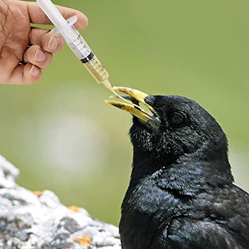 balacoo Bird Feeding Syringe Set with Tubes 3 Sizes 1.69Oz 0.85Oz & 0.34Oz Capacity Clear Plastic Hand-Feeding Tool for Baby Parrots Pigeons Doves and Snakes Includes 5 Thin Injecting Tubes