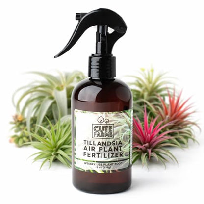 Cute Farms Tillandsia Air Plant Fertilizer | Gentle Weekly Use Formula Plant Food | Formulated Nutrients for Air Plants (8 oz. Spray Bottle) - size: 8 oz