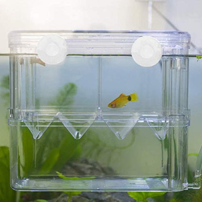 Aquarium Fish Breeder Box Plastic Fish Isolation Breeding Box Hatching Incubator for Baby Shrimp Clownfish Guppy - size: Large