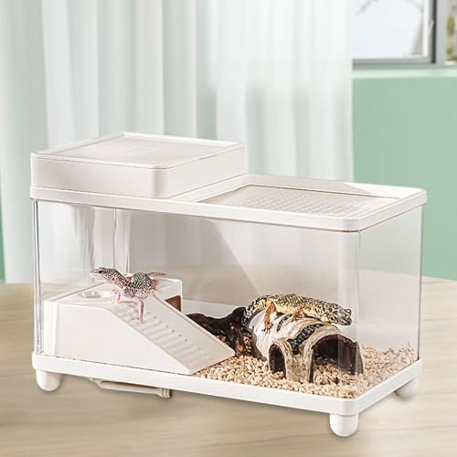 Aquarium Accessories for S, Transparent Multi-Function Drainage System for Terrarium, Bearded Dragon, Terrapin, Small Reptile, White