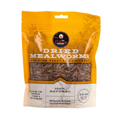 Fluker's Culinary Coop Premium Chicken Treats, Mealworms 3.5 oz, High Protein Worm, Nutritious Treat - size: 3.5 Ounce (Pack of 1)