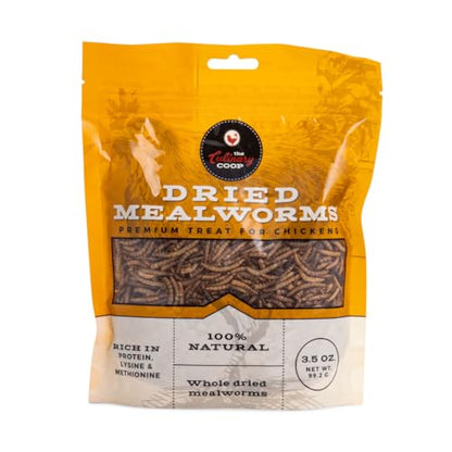Fluker's Culinary Coop Premium Chicken Treats, Mealworms 3.5 oz, High Protein Worm, Nutritious Treat - size: 3.5 Ounce (Pack of 1)