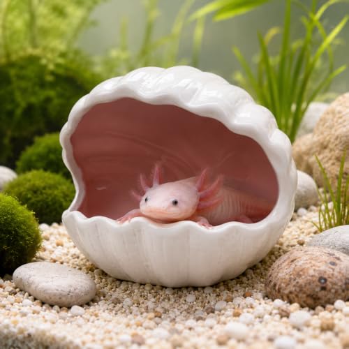 Ceramic Axolotl Hideout Shell Shape, Double-Sided Glazed Fish Tank Decoration Cave, Extra Large Aquarium Shelter Tunnel Hide for Small Pet, Frog, Betta, Lizard, Aquatic Reptile - Pink