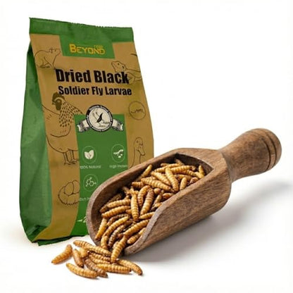 BeyondFeed™ Premium Dried Black Soldier Fly Larvae - High Calcium Supplement for Stronger Eggshells & Molting Recovery - Whole, Large Grubs (Superior to Mealworms) for Chickens, Ducks & Reptiles - size: 2.2 Pound (Pack of 1)