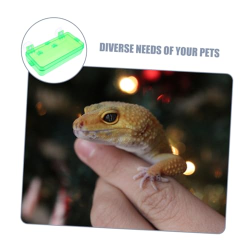 Toddmomy Secure Reptile Water Basin Insect Feeder for Bearded Dragon Gecko Snake Easy to Install Suction Cup Bowl - color: Light Green, size: 9.00X6.00X3.50CM