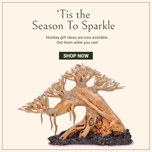Azil Bonsai Driftwood Aquarium Tree for Aquarium Decor Fish Tank Decorations (10.1'' Length)