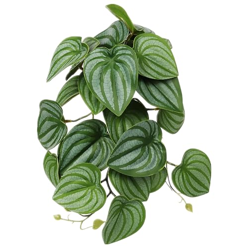 Fake Calathea Orbifolia, Reptile Terrarium Suction Plants | For Rainforest Gecko Lizard Snake Habitat Décor - color: Fake Calathea Orbifolia