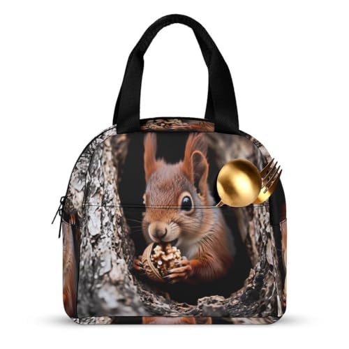 Squirrel Lunch Bag for Women Men | Insulated Lunch Box Leakproof Food Meal Containers Reusable Foldable 6L Capacity Lunch Tote Bags for Work Picnic Travel - color: style-11