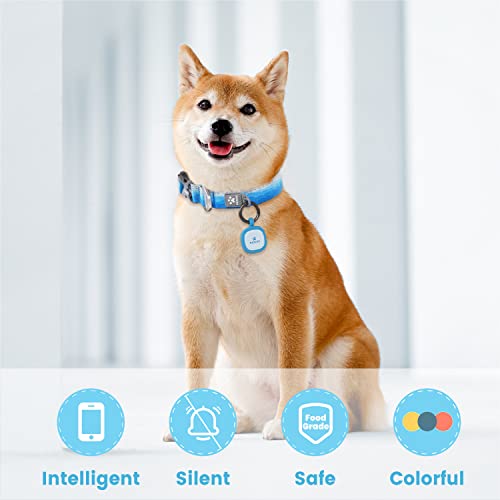 Pawaii Dog ID Tag, Silent Silicone QR Code Tag, Scan Alerts, No App, 1 Pack | Updatable online profile, emergency contacts, no subscription, lost pet recovery, collar friendly, lightweight wear - color: Sky Blue