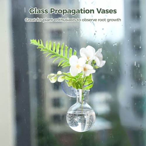 4 Pack Glass Propagation Vases for Plants, Hanging Window Planters with 4 Suction Cups and 2 Brushes, Glass Plant Terrarium Vase, for Water Cultivating, Home Decor, Housewarming Present