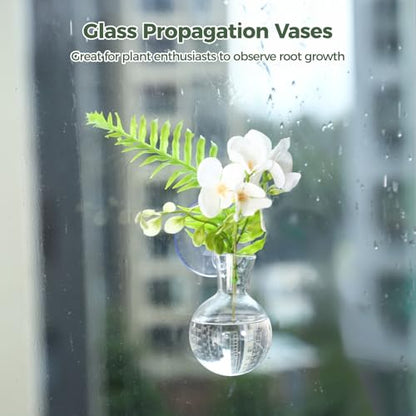 4 Pack Glass Propagation Vases for Plants, Hanging Window Planters with 4 Suction Cups and 2 Brushes, Glass Plant Terrarium Vase, for Water Cultivating, Home Decor, Housewarming Present