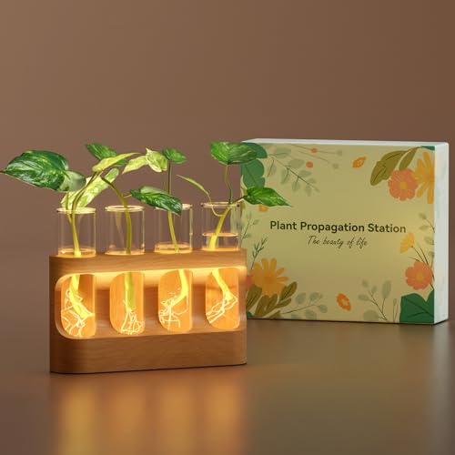 Plant Propagation Station with Wooden Stand, Gardening Gifts for Mom Women Plant Lovers, 9-Level Dimmable LED Light 4 Glass Test Tubes Vases for Hydroponic Plants - Desktop Terrarium for Desk Decor - size: With Light