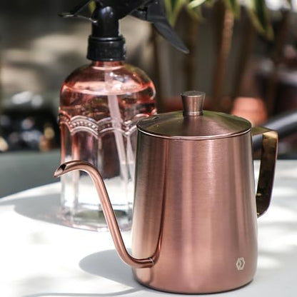 Watering Can for Indoor Plants Long Spout Metal Stainless Steel 21 oz Small Watering Can with 14 oz Glass Plant Mister Spray Bottle for Plants Bonsai - color: Rose Gold Watering Can+tawny Clear Spray Bottle