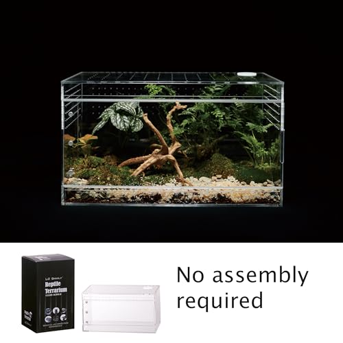 Acrylic Terrarium for Reptiles & Spiders – Small/Medium/Large Leak-Proof Enclosure (Horizontal/Vertical) | Ideal for Tarantulas, Jumping Spiders, Frogs & Geckos (Large, Horizontal) - size: Large