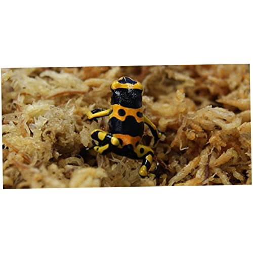 Sphagnum Moss Dried Spagnum Dry Moss for Reptiles Bedding and Terrarium Pet Supplies 150g Sphagnum Dried Dry for Reptiles Reptile Spagnum for Plants