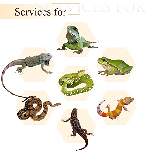 Canlierr 4 Pcs Reptile Vines, Flexible Bendable Jungle Climbing Vine Terrarium, Fake Plants for Reptiles, Artificial Leaves Terrarium Tank Pet Habitat Decor for Bearded Dragons, Lizard, Snake, Gecko