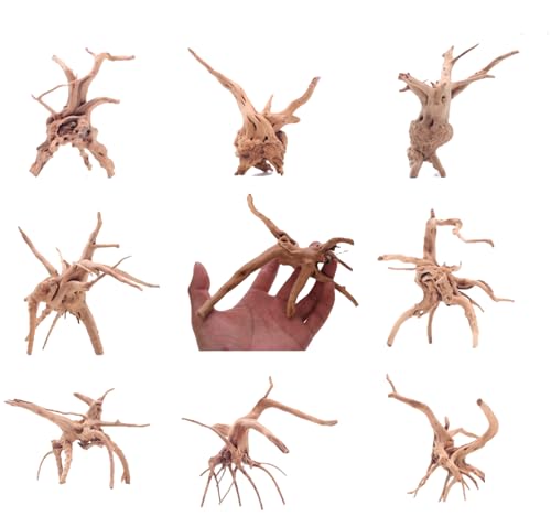 YZHZOM 8pcs Natural Small Spiderwood Driftwood for Aquarium Decor Aquarium Driftwood Freshwater Reptile Driftwood Aquarium spiderwood (spiderwood 5-6inch 8pcs)