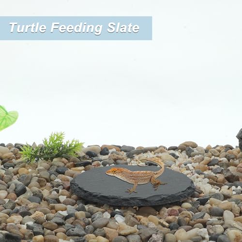 Reptile Basking Platform, Round Tortoise Habitat Slate, Turtle Feeding Slate, Habitat Decor Accessories for Crested Gecko Lizard, Gray Black