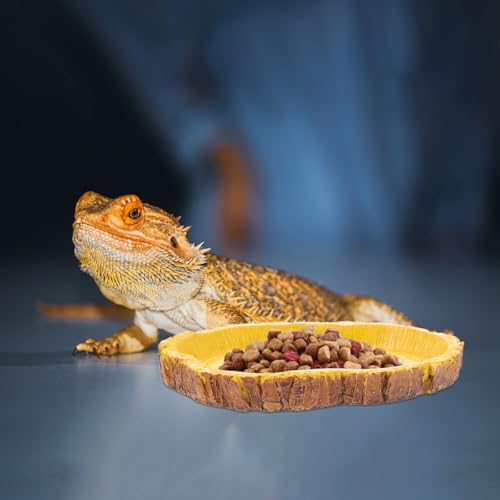 Sosoport 2pcs Resin Reptile Food Feeding Container and Tortoise Water Dish for Terrarium, Multifunctional Pet Food Storage Basin Suitable for Lizards, Tortoises, and Small Crawling Pets
