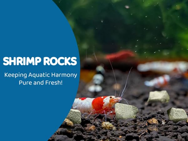 Calcium & Magnesium Rocks for Aquarium | Enhances Shell Strength & Color for Shrimp, Snails, Crabs & Crayfish | Biofilm Surface | Ideal for Soft Water Tanks 2 OZ