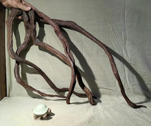 AWXZOM Aquarium Driftwood Branches,2.2lb 9-14inch Long Driftwood for Aquarium Reptile Driftwood Branches Log Natural Driftwood for Aquarium Reptile Branches