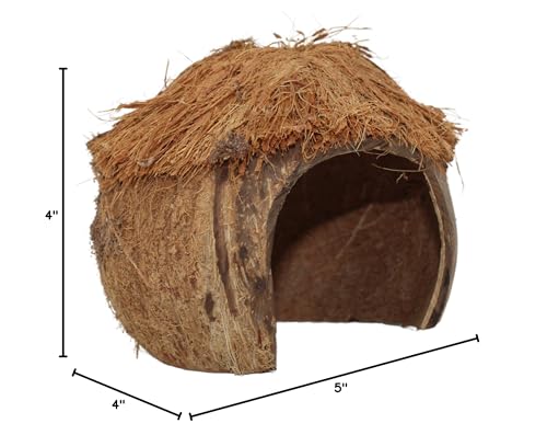 Needzo Hideout for Hermit Crabs, Reptiles, Natural Habitat Cage Decoration, 4x5 Inches (Coconut Tiki Hut)