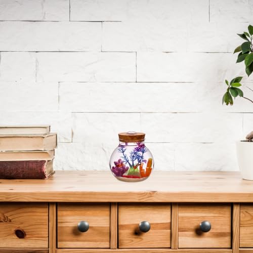 NUOBESTY Round Glass Jars with Cork Lid, Small Glass Cork Bottles with Led Light, Plant Terrarium Display Bottles for Diy, Kitchen Storage Candy Jar for Tea Biscuits Cereals Flour Beans