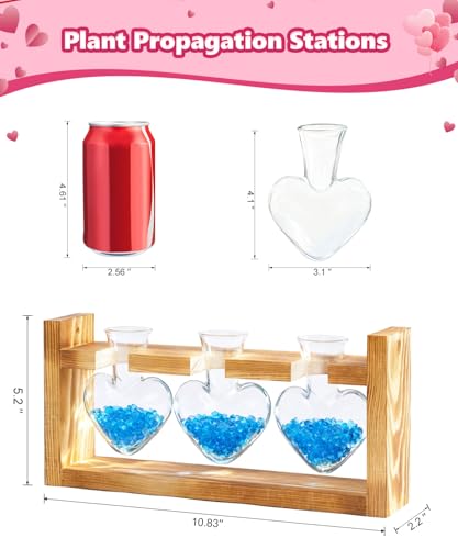 Plant Terrarium with Wooden Stand, 3 Heart Bulb Glass Vases | Wooden Stand Tabletop for Air Planter, Gifts for Mom Plant Lovers Mom Women Wife Grandma - color: Transparent
