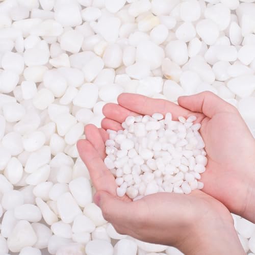 2.0 LB White Aquarium Gravel Pebbles 3/8", Natural Decorative Aquarium Substrate Small River Rocks, Mini Pebbles Stone for Fish Tank, Aquatic Plant Bonsai, Hydrophyte