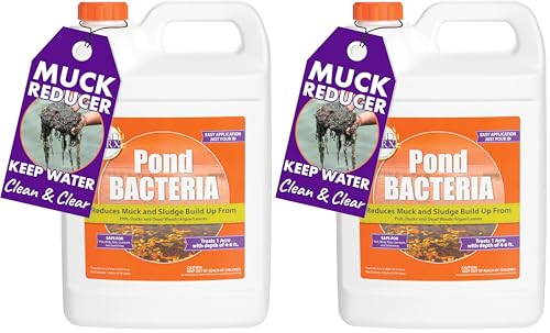 PondWorx Pond Bacteria - Formulated for Large Ponds, Water Features and Safe for Koi - Gallon (Pack of 2) - size: 1 Gallon (128oz) (Pack of 2)