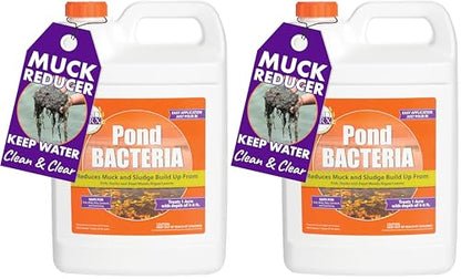 PondWorx Pond Bacteria - Formulated for Large Ponds, Water Features and Safe for Koi - Gallon (Pack of 2) - size: 1 Gallon (128oz) (Pack of 2)