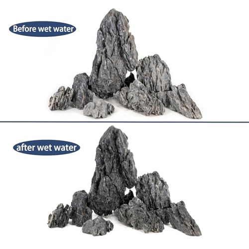 Aquarium Rocks Seiryu Stones Natural Hardscape Stone for Aquariums, Fish Tanks, Bonsai, Terrariums, Wargaming Dioramas, Indoor or Outdoor Gardens-5lb(2-6 Inch) - size: 5Lb (2-6 inch)